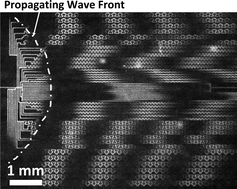 Graphical abstract: Fourier microfluidics