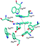 Graphical abstract: OMx-D: semiempirical methods with orthogonalization and dispersion corrections. Implementation and biochemical application