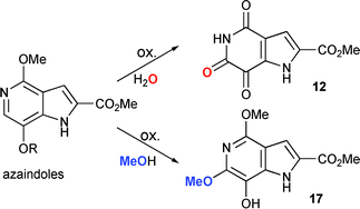 Graphical abstract: Solvent-dependent oxidations of 5- and 6-azaindoles to trioxopyrrolopyridines and functionalised azaindoles