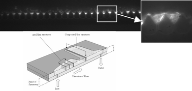 Graphical abstract: Enhanced microfiltration devices configured with hydrodynamic trapping and a rain drop bypass filtering architecture for microbial cells detection