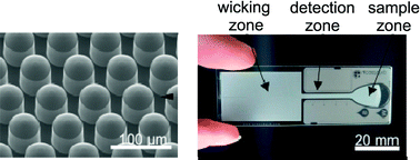 Graphical abstract: Silane–dextran chemistry on lateral flow polymer chips for immunoassays