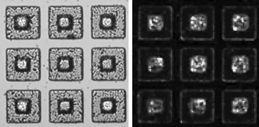 Graphical abstract: Microfabrication of an asymmetric, multi-layered microdevice for controlled release of orally delivered therapeutics