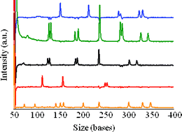 Graphical abstract: AOTF-based multicolor fluorescence detection for short tandem repeat (STR) analysis in an electrophoretic microdevice