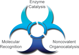 Graphical abstract: (Thio)urea organocatalysis—What can be learnt from anion recognition?