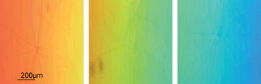 Graphical abstract: Toward practical application of cholesteric liquid crystals to tunable lasers