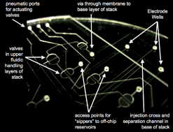 Graphical abstract: Monolithic photolithographically patterned Fluorocur™ PFPE membrane valves and pumps for in situ planetary exploration