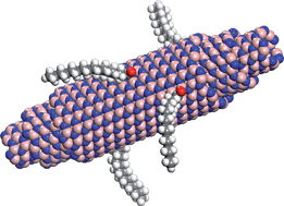 Graphical abstract: Boron nitride nanotubes: functionalization and composites