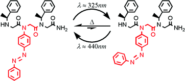 Graphical abstract: Photoresponsive peptoid oligomers bearing azobenzene side chains
