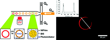 Graphical abstract: Novel one-pot route to monodisperse thermosensitive hollow microcapsules in a microfluidic system