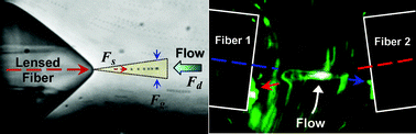 Graphical abstract: Flow-dependent optofluidic particle trapping and circulation
