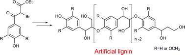 Graphical abstract: Synthesis of β-O-4-type artificial lignin polymers and their analysis by NMR spectroscopy