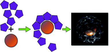 Graphical abstract: Self-assembly approaches to nanomaterial encapsulation in viral protein cages