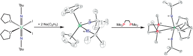Graphical abstract: Synthesis and reactivity of bis(imido) uranium(vi) cyclopentadienyl complexes