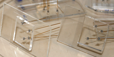 Graphical abstract: Microdroplets: A sea of applications?