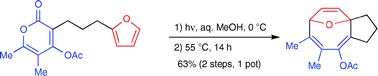 Graphical abstract: Cyclooctatrienes from pyran-2-ones via a tandem [4 + 4]-photocycloaddition/decarboxylation process