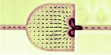 Graphical abstract: Laser-induced cavitation based micropump