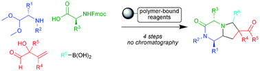 Graphical abstract: Diversity-oriented synthesis of novel polycyclic scaffolds using polymer-bound reagents