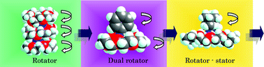 Graphical abstract: Supramolecular approach for solid state Brownian rotators