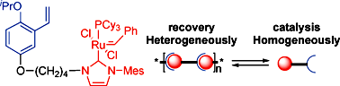 Graphical abstract: A new type of self-supported, polymeric Ru-carbene complex for homogeneous catalysis and heterogeneous recovery: synthesis and catalytic activities for ring-closing metathesis