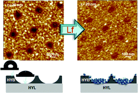 Graphical abstract: Confined protein adsorption into nanopore arrays fabricated by colloidal-assisted polymer patterning