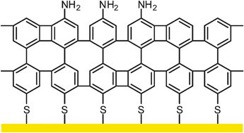 Graphical abstract: Fully cross-linked and chemically patterned self-assembled monolayers