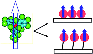 Graphical abstract: Organic radicals on surfaces: towards molecular spintronics