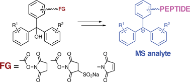 Graphical abstract: Reactive trityl derivatives: stabilised carbocation mass-tags for life sciences applications