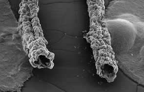 Graphical abstract: Bioactive functional materials: a perspective on phosphate-based glasses
