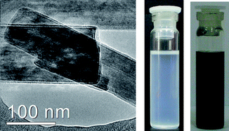 Graphical abstract: Functionalization and solubilization of inorganic nanostructures and carbon nanotubes by employing organosilicon and organotin reagents