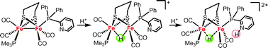 Graphical abstract: Structures, protonation, and electrochemical properties of diiron dithiolate complexes containing pyridyl-phosphine ligands