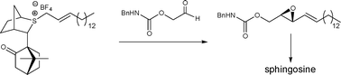 Graphical abstract: Asymmetric sulfur ylide based enantioselective synthesis of D-erythro-sphingosine