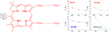 Graphical abstract: The localization and photosensitization of modified chlorin photosensitizers in artificial membranes