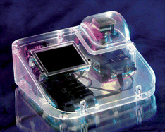 Graphical abstract: An integrated microfluidic platform for sensitive and rapid detection of biological toxins
