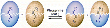 Graphical abstract: Phosphine-catalyzed disulfide metathesis
