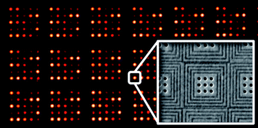 Graphical abstract: Sub-micron resolution surface plasmon resonance imaging enabled by nanohole arrays with surrounding Bragg mirrors for enhanced sensitivity and isolation