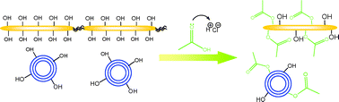 Graphical abstract: Decorating in green: surface esterification of carbon and cellulosic nanoparticles