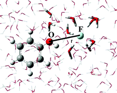 Graphical abstract: An explicit solvent quantum chemistry study on the water environment influence on the interactions of fluoride with phenol