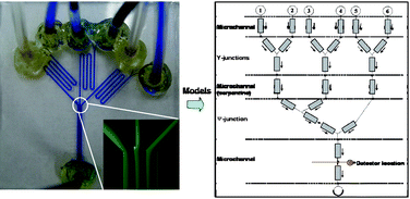 Graphical abstract: Generation of complex concentration profiles by partial diffusive mixing in multi-stream laminar flow