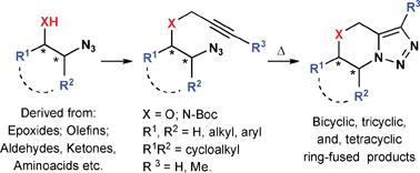 Graphical abstract: Intramolecular azide-alkyne [3 + 2] cycloaddition: versatile route to new heterocyclic structural scaffolds