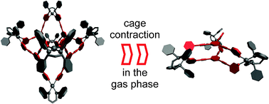 Graphical abstract: A double intramolecular cage contraction within a self-assembled metallo-supramolecular bowl