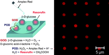 Graphical abstract: Patterned microcontainers as novel functional elements for µTAS and LOC