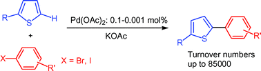 Graphical abstract: Ligand-less palladium-catalyzed direct 5-arylation of thiophenes at low catalyst loadings