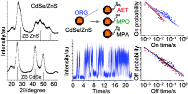 Graphical abstract: Ligand-dependent blinking of zinc-blende CdSe/ZnS core/shell nanocrystals