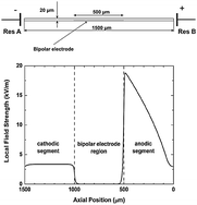 Graphical abstract: Electric field gradient focusing in microchannels with embedded bipolar electrode