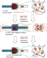 Graphical abstract: Magnetic hydrogel nanocomposites as remote controlled microfluidic valves