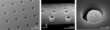 Graphical abstract: Biomimetic microcavities based on poly(dimethylsiloxane) elastomers