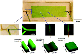 Graphical abstract: Microfluidics for cryopreservation