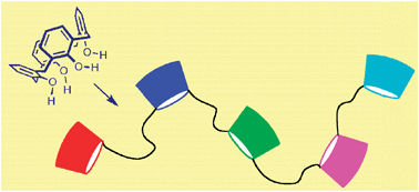 Graphical abstract: Calix[4]arene daisychains