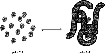 Graphical abstract: pH-Responsive self-assembly in an aqueous mixture of surfactant and hydrophobic amino acid mimic
