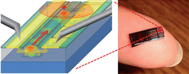 Graphical abstract: Label-free silicon photonic biosensor system with integrated detector array